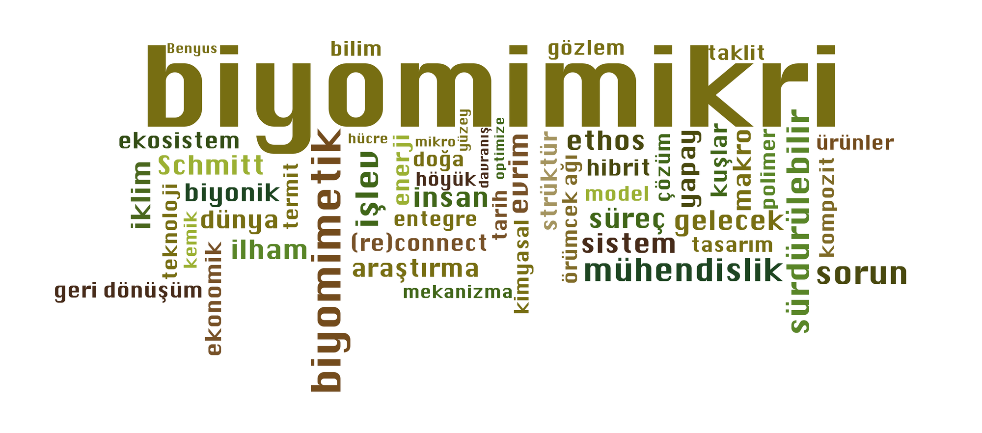 Biyomimikri Kelime Bulutu Wordcloud