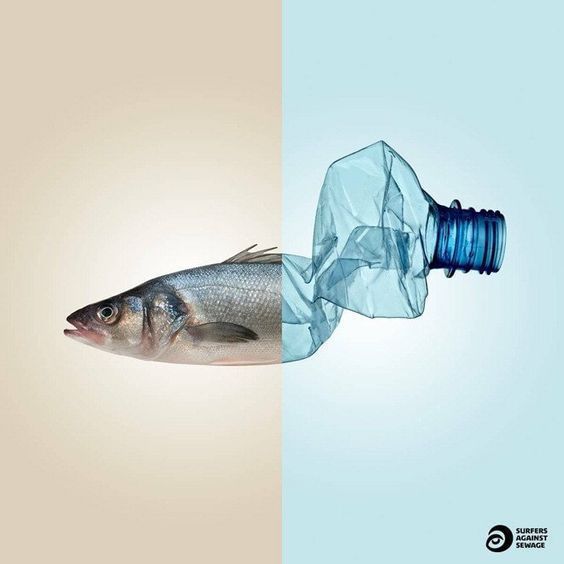 plastic-fish.jpg